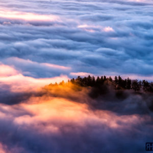 Hoch über der Nebelgrenze im schweizerischen Jura